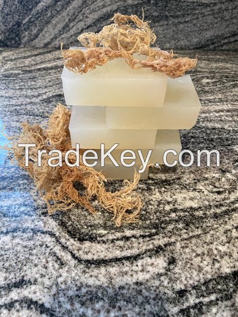 Handmade Sea Moss Soap/ Irish Seamoss Soap with premium quality/ MS. GINA +84 347 436 085