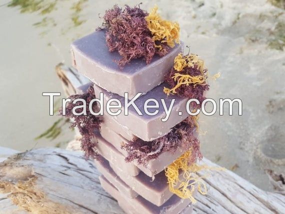 100% Organic Handmade Sea Moss Soap from Vietnam/ The Best Irish Seamoss Soap for Your Skin/ MS. Selena +84 906 086 094