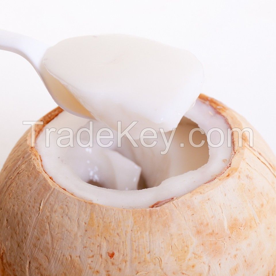 Coconut Jelly High Standard for Exporting / Nata De Coco in Viet Nam - Ms. Dilys +84 969 694 230