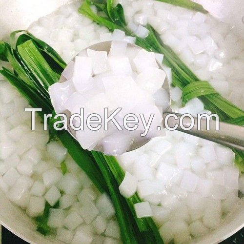 Vietnam Coconut Jelly High Standard Export/ Nata De Coco in Viet Nam - MS. Selena +84 906 086 094