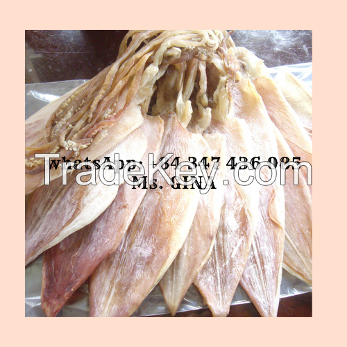 HOT SELLING PRODUCTS IN 2021-DRIED SQUID VIET NAM -SEAFOOD MS. GINA + 84 347 436 085