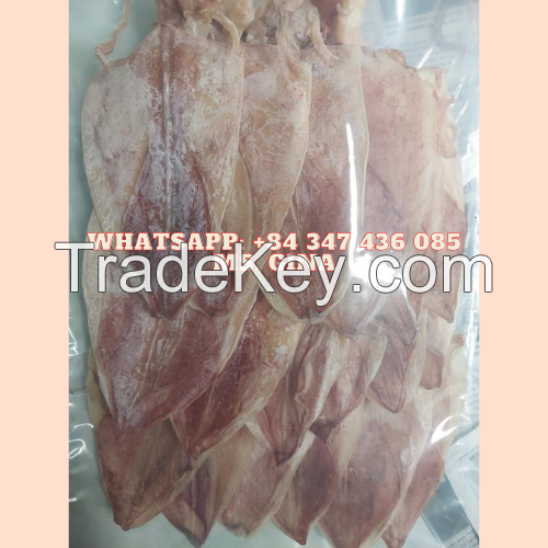 THE BEST PRICE DRIED SQUID IN VIETNAM/ DRIED HEAD SQUID/MS. GINA +84 347 436 085