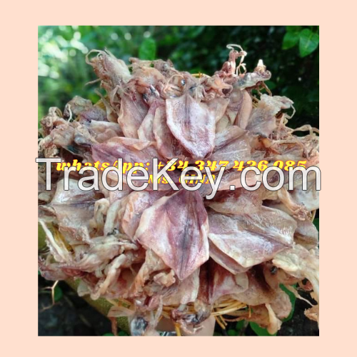 THE BEST PRICE DRIED SQUID IN VIETNAM/ DRIED HEAD SQUID/MS. GINA +84 347 436 085