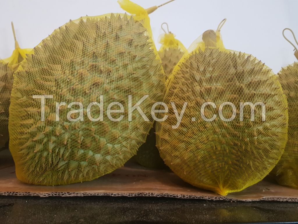 Frozen Durian Fruit Vietnam- Our best products/Tropical fruit WhatsApp +84 347 436 085