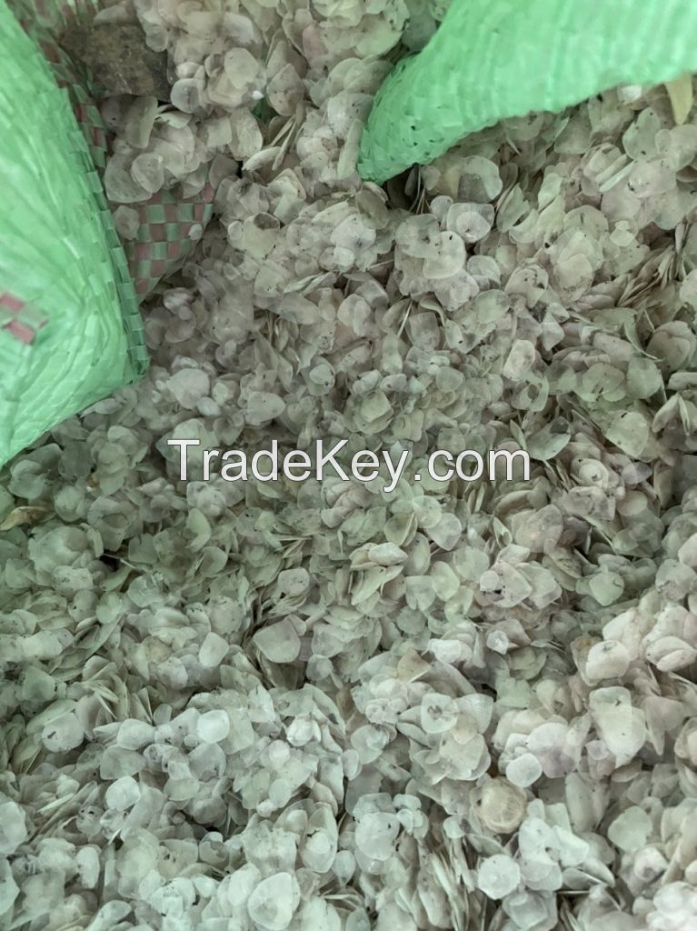Wholesale Dried Tilapia FISH SCALES for making Collagen with High quality.