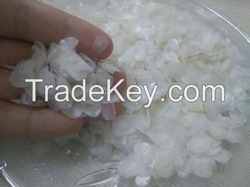 Wholesale Dried Tilapia FISH SCALES for making Collagen with High quality.