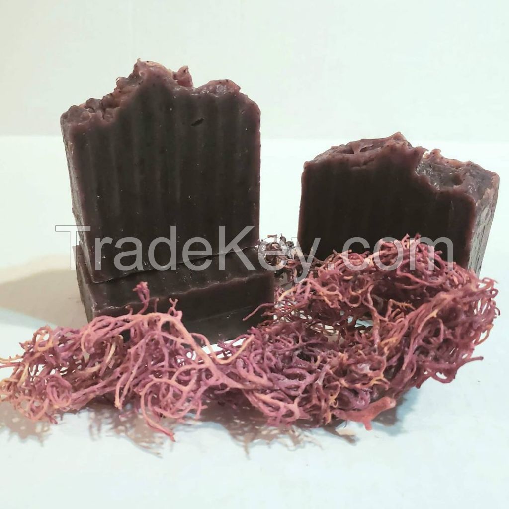 SEA MOSS SOAP/ Irish Moss Soap Handmade Good for Beautiful Body Ms. Stella +84345057499