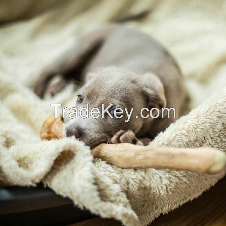 BEST SELLER I COFFEE WOOD DOG CHEW I Best choice for your dogs