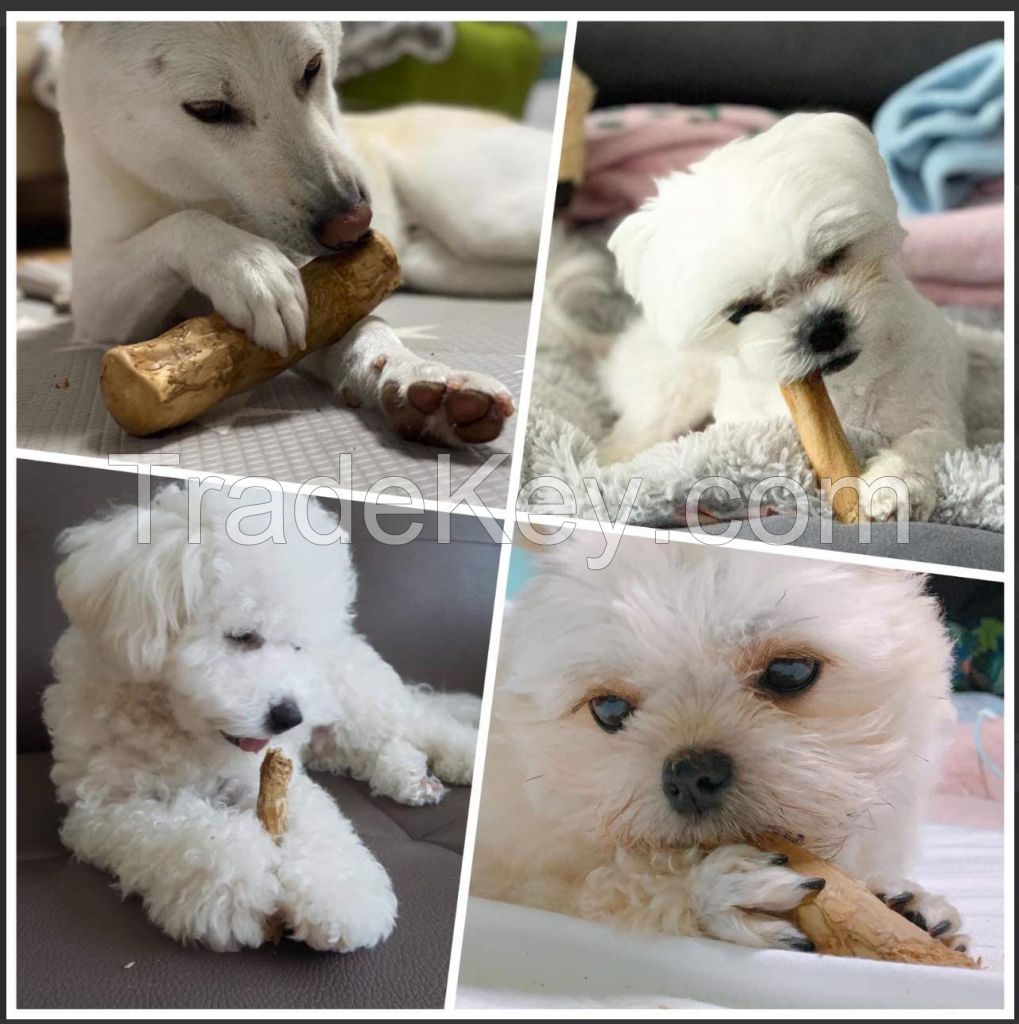 HOT SELLER I Coffee Wood Dog Chew Stick Toy 100% Natural from Vietnam