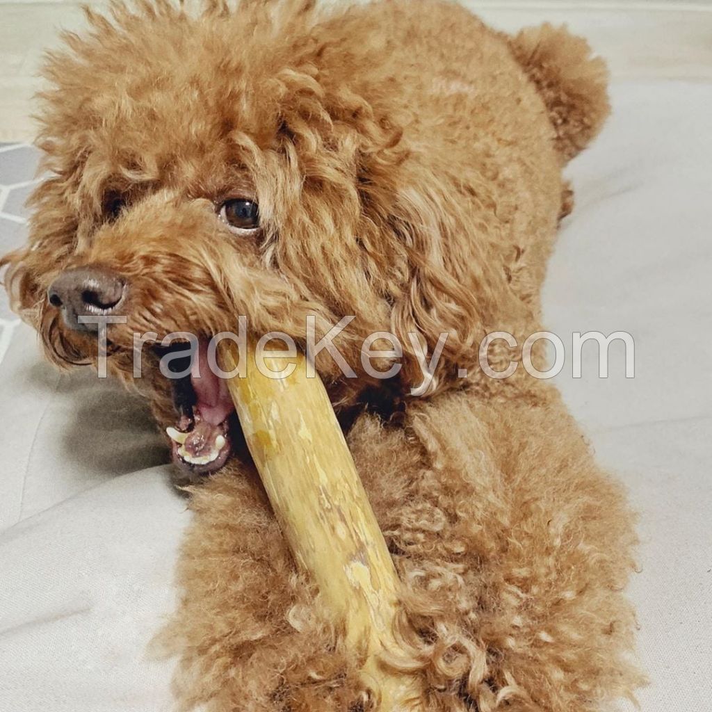 BEST SELLER I COFFEE WOOD DOG CHEW I Safe for your pet