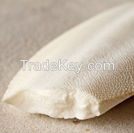 LOWEST PRICE I Cuttlefish Bone I TOP quality from VietNam I BEST SELLER 2023 2023