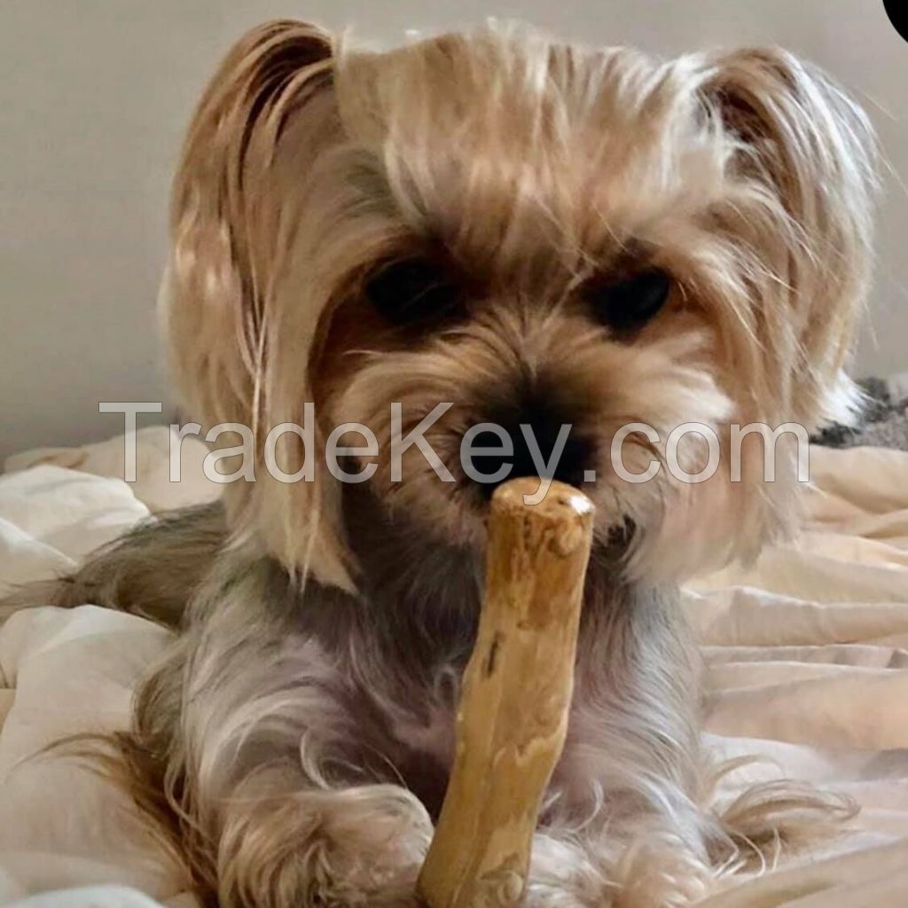 BEST SELLER 2023 I Coffee wood Dog chew/ Chew Sticks
