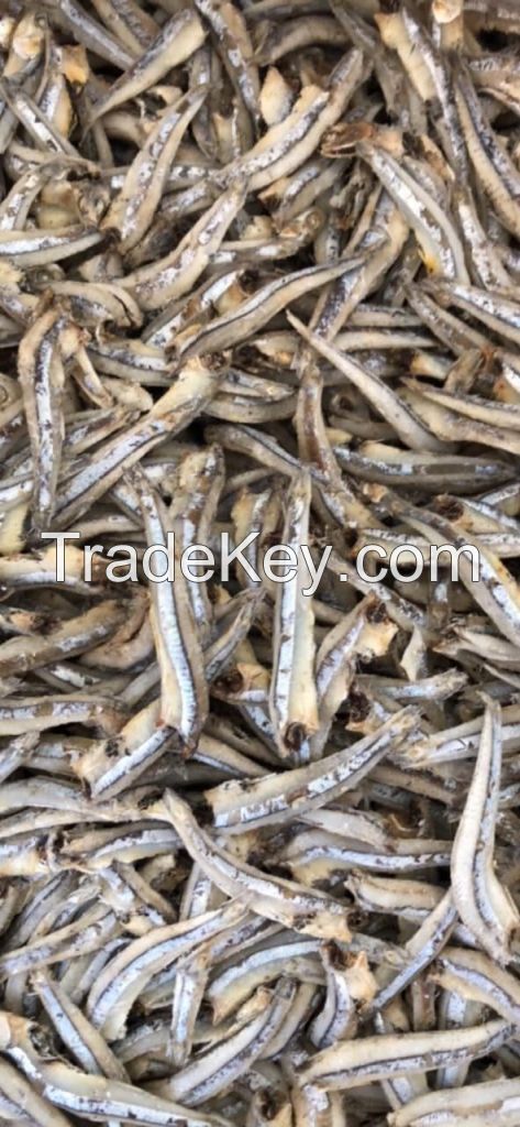 DRIED ANCHOVY FISH/ SUNDRIED ANCHOVY FROM VIET NAM SUPPLIER/ Stella