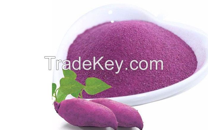 High Quality Sweet Potato Powder from Vietnam