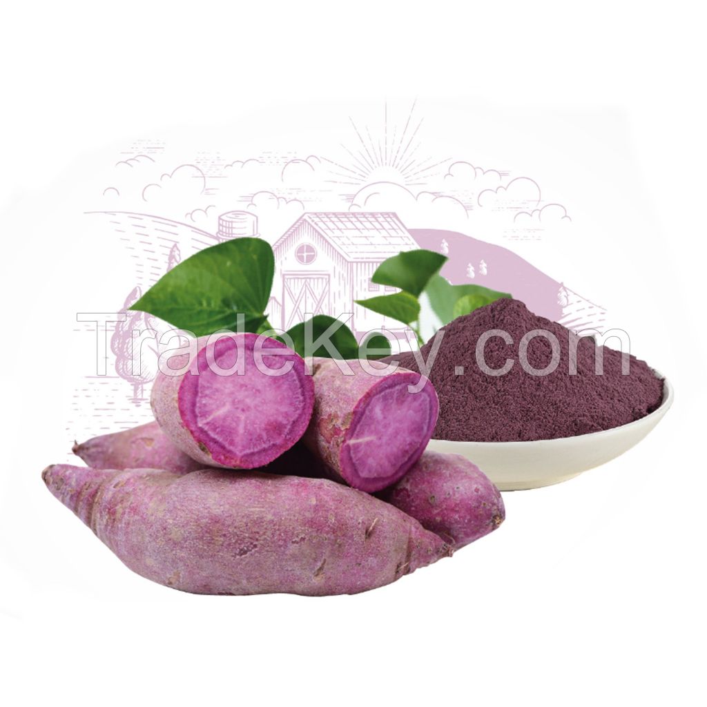 TOP PRODUCT Sweet Potato Powder from Vietnam Mr.Eric +84934151750