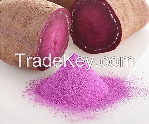 High Quality Sweet Potato Powder from Vietnam