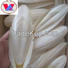 Dried Cuttlefish bone/ sepia /Cuttlebone/Cuttlefish Bone/Hai Piao Xiao// Ms. Helen Vietdelta