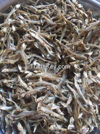 DRIED ANCHOVY FISH/ HIGH SPRATS// Ms. Helen + 84848903006