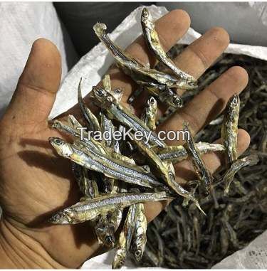 DRIED ANCHOVY FISH/ HIGH SPRATS// Ms. Helen + 84848903006