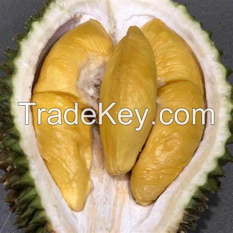 FROZEN AND FRESH DURIAN FRUIT FROM VIETNAM ( WHOLE/SEGEMNT) // Ms. Helen +84 848903006