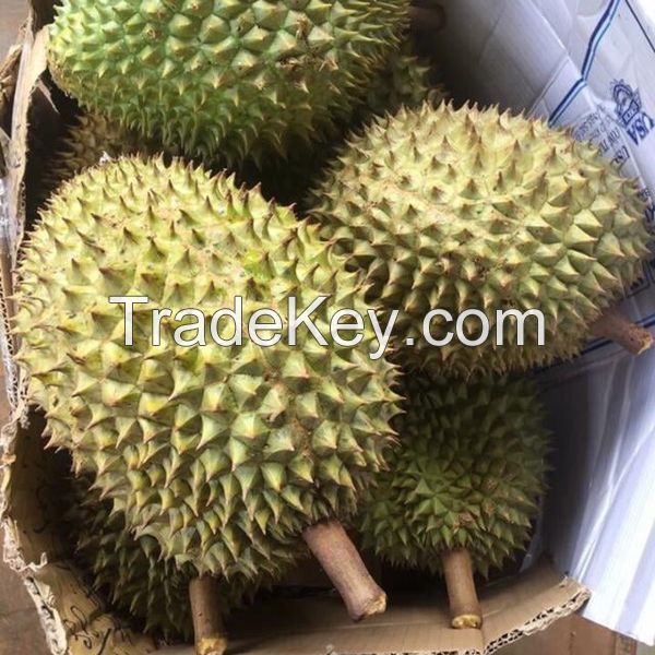 FROZEN DURIAN/WHOLE DURIAN WITH SEED OR SEEDLESS/SEGMENT DURIAN // Ms. Helen +84 848903006