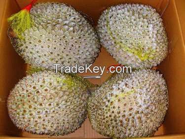 FROZEN DURIAN/WHOLE DURIAN WITH SEED OR SEEDLESS/SEGMENT DURIAN // Ms. Helen +84 848903006