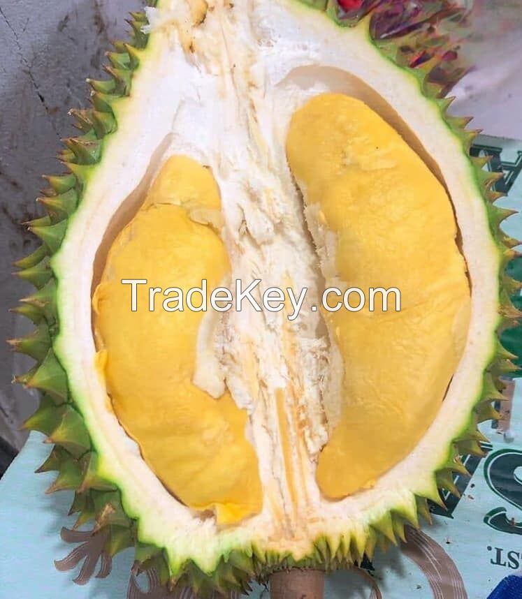 FROZEN DURIAN/WHOLE DURIAN WITH SEED OR SEEDLESS/SEGMENT DURIAN // Ms. Helen +84 848903006