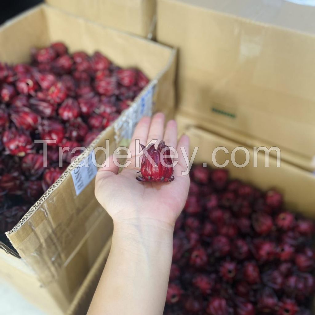 DRIED HIBISCUS/HIBICUS FLOWER TO PROCESS TEA/JAM//Ms. Serene +84582301365