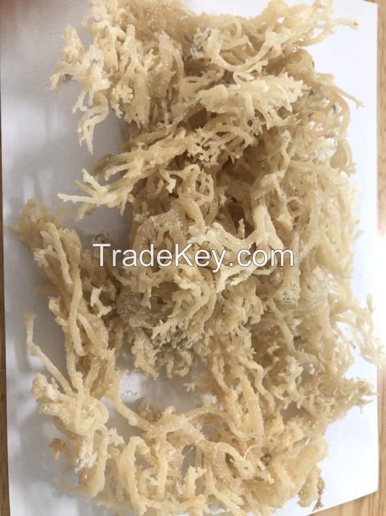 sea moss from viet nam +84944439979