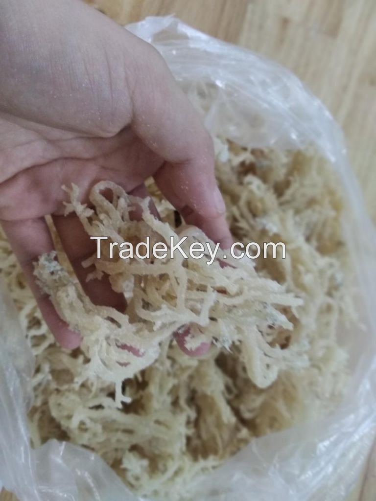 Sea Moss with high quality +84944439979 Brian ( whatsapp)