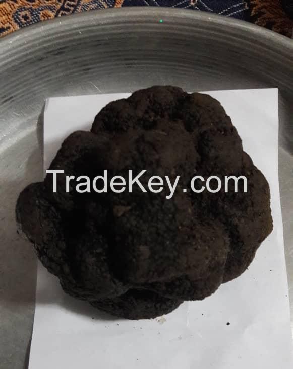 Black truffles