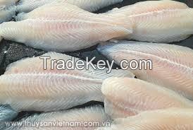 Frozen Pangasius