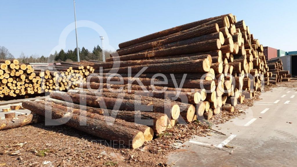 Pine Logs