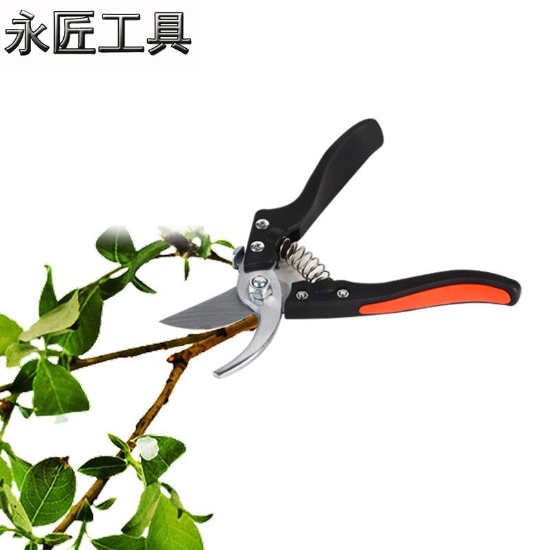 PRUNER SHEAR GARDEN SHEAR TREE PRUNER