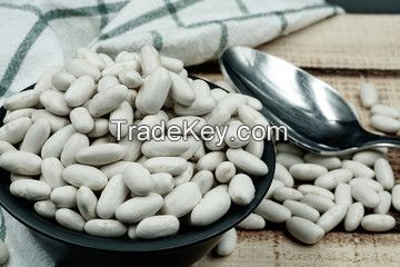  White Kidney Bean
