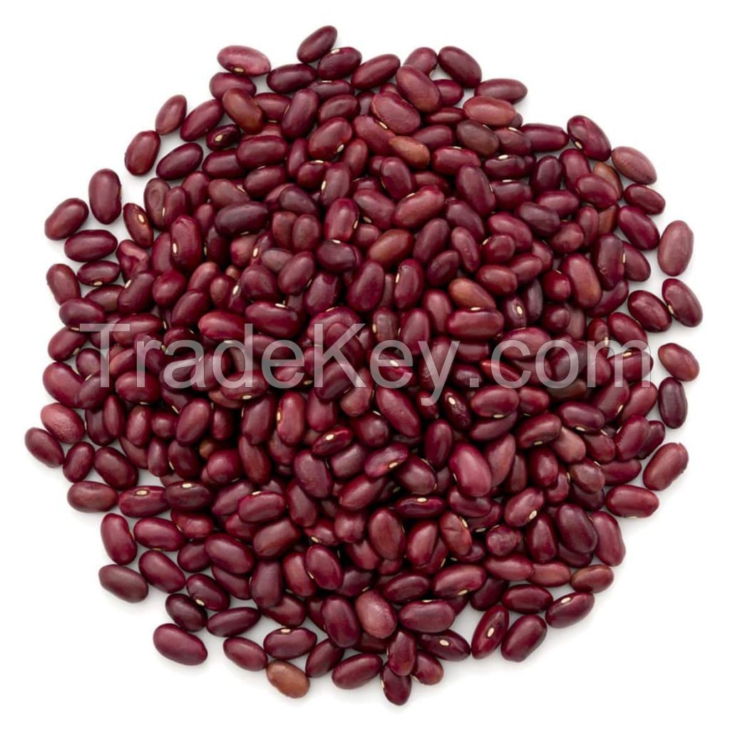 Organic Dark Red kidney bean 