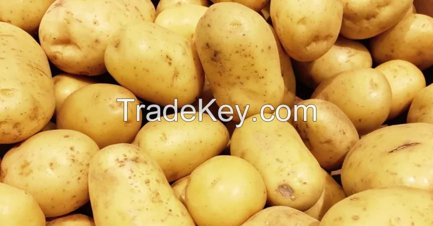 holland fresh potatoes