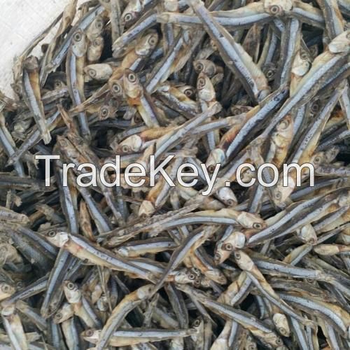 dried anchovy(sprats)