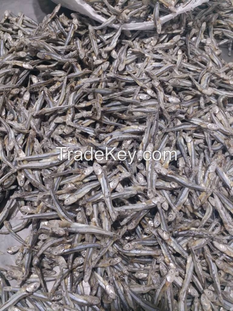 dried anchovy(sprats)