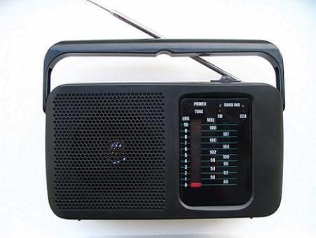 SCA/FM Radio SC-600