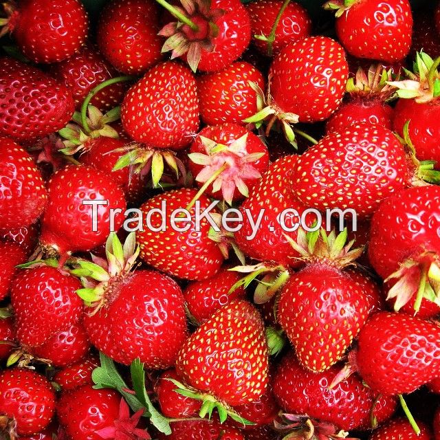 strawberry fruits