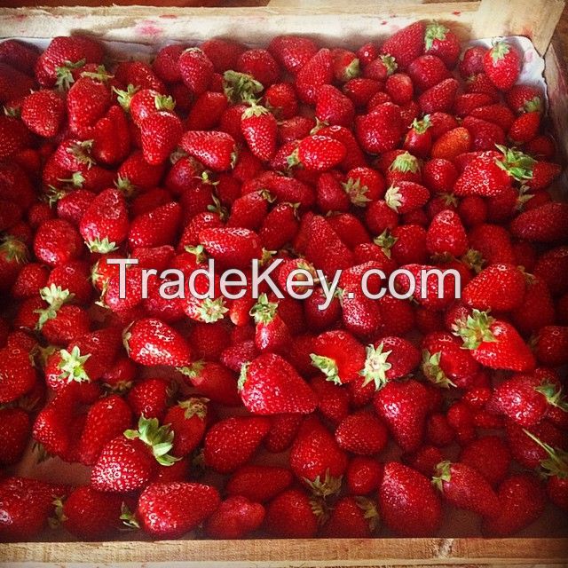 strawberry fruits