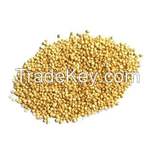 SORGHUM GRAIN MEAL 