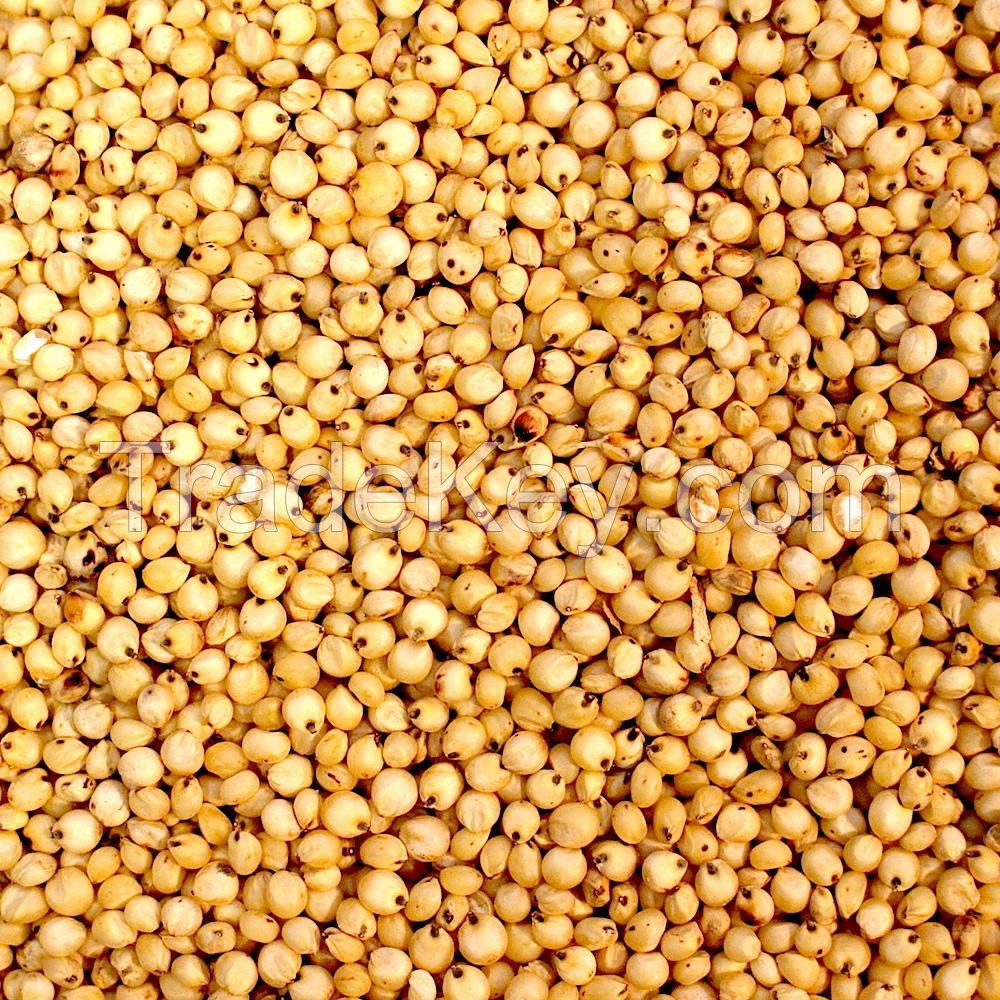 SORGHUM GRAIN MEAL 