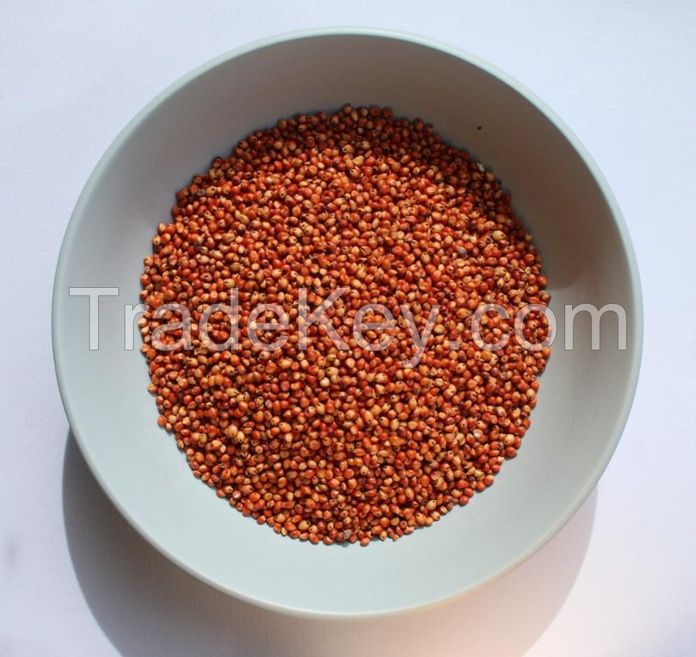 SORGHUM GRAIN MEAL 