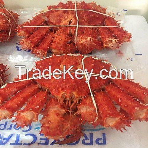 Crab , Red King Crab , Live and Frozen Red king crab