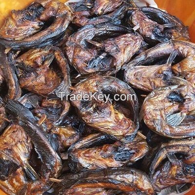 Pure Salted Smoked Catfish, Cat fish/ Sun Dried Catfish