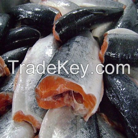 Good quality south Africa  seafood wholesale frozen Atlantic  Salmon