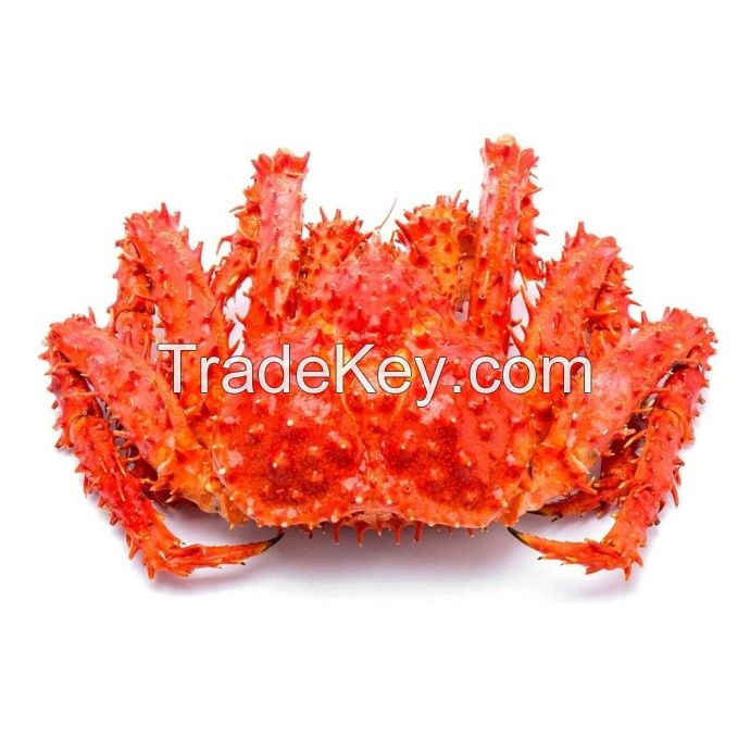 Crab , Red King Crab , Live and Frozen Red king crab