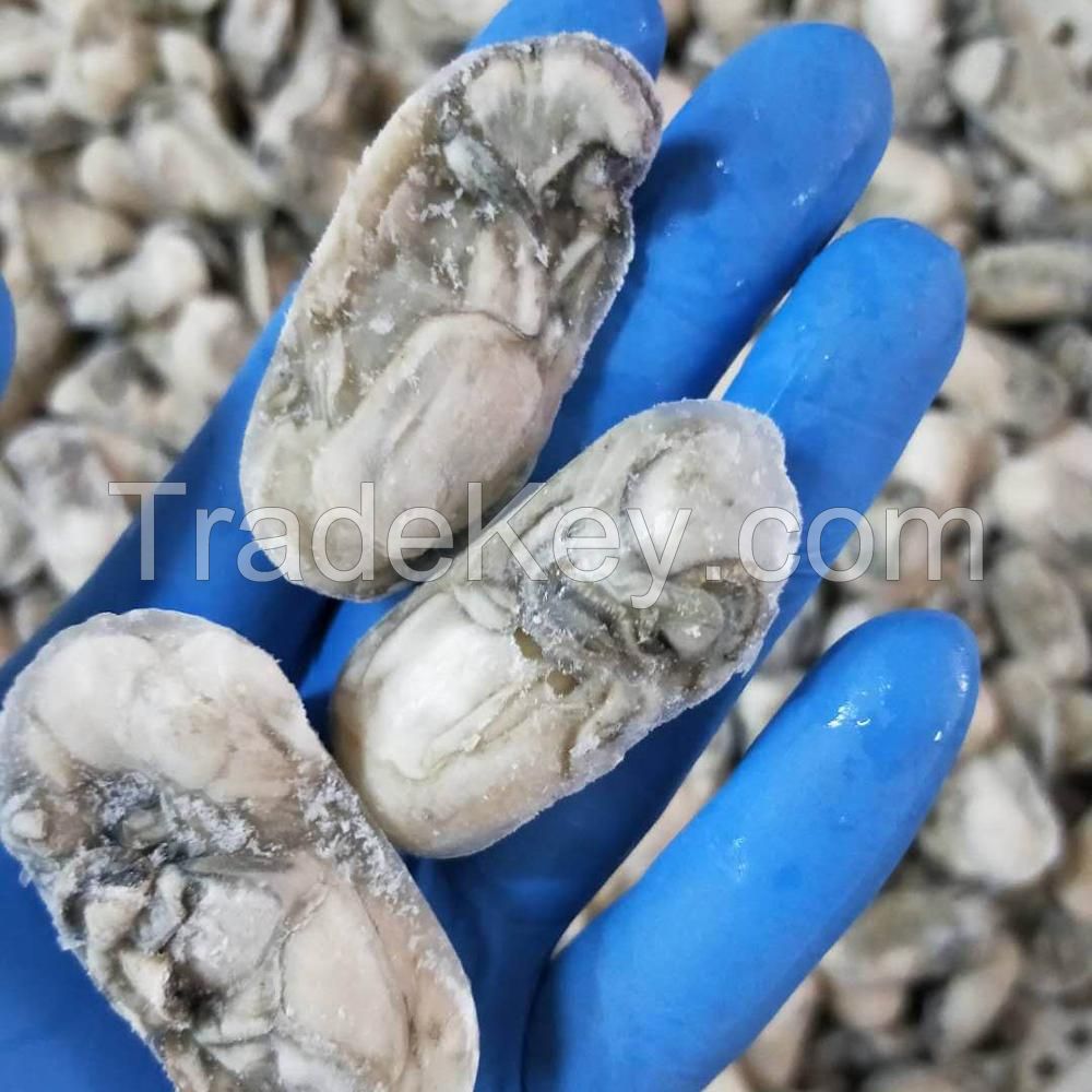 Seafood Fresh and LIve Oysters Quality Guaranteed